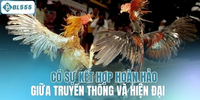 Có sự kết hợp hoàn hảo giữa truyền thống - hiện đại