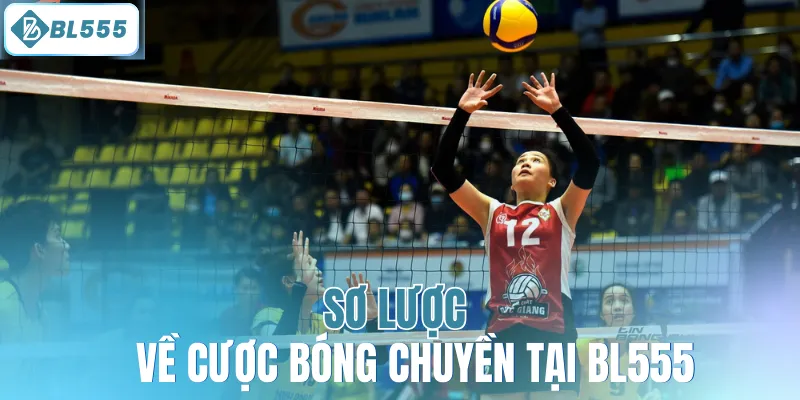 Sơ lược về cược bóng chuyền tại BL555